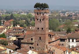 torre di lucca b&b butterfly livorno